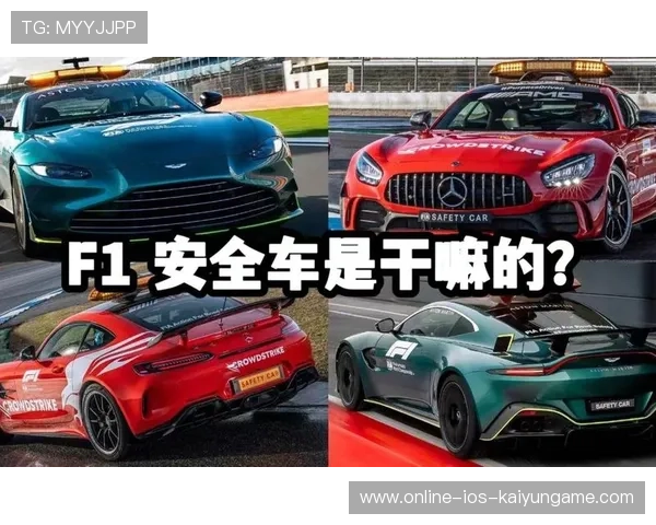 F1赛事地方政府合作模式为赛事落地提供范本